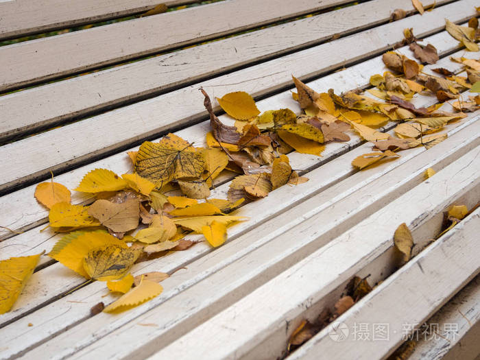 张空空的长椅，公园里的秋天叶子