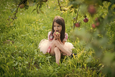 可爱的小女孩吃苹果在大树下