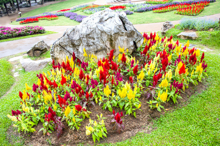 湄 fah 銮花园，位于茵董，泰国清莱省