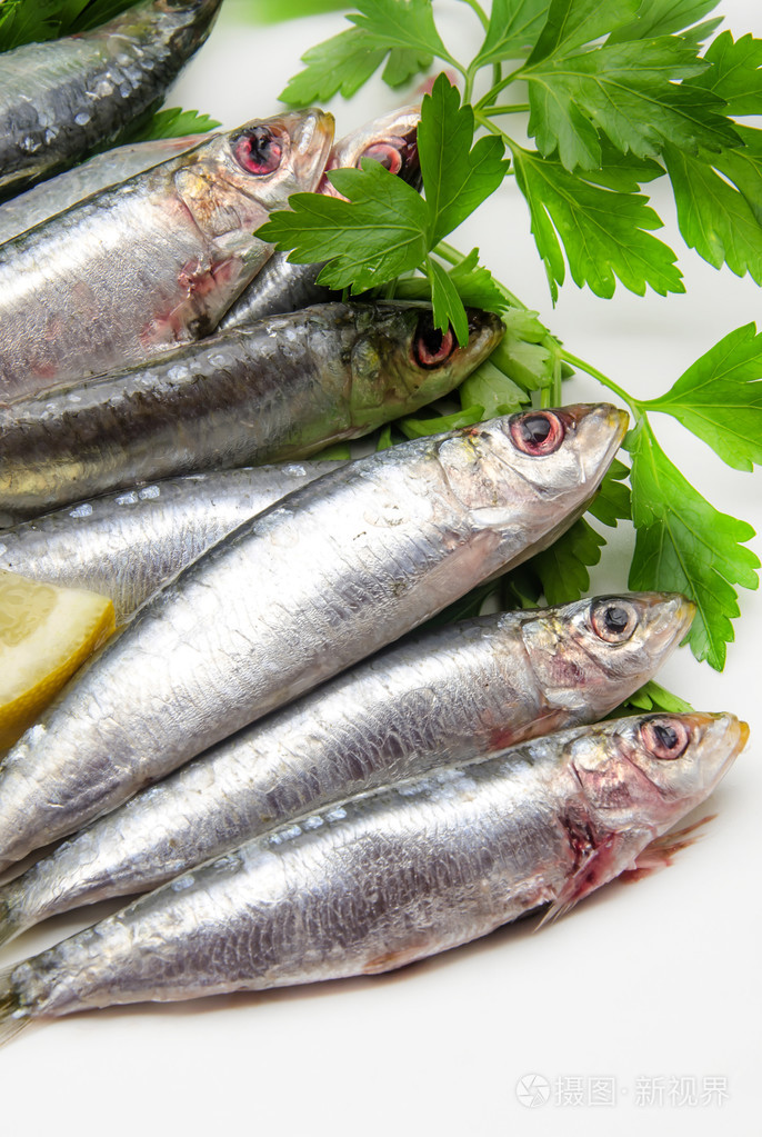 新鲜沙丁鱼