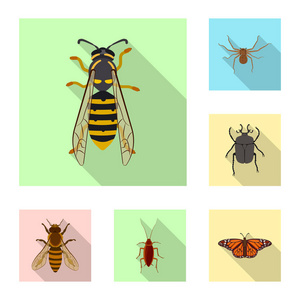 昆虫和飞行符号的矢量设计。昆虫和元素存量矢量图的采集