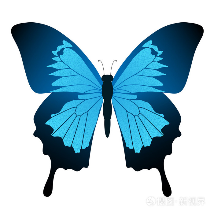 蓝蝴蝶表情包图片