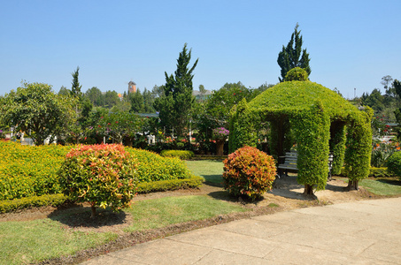 越南大叻，植物园