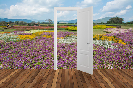 扇叶草景观背后扇打开的门照片