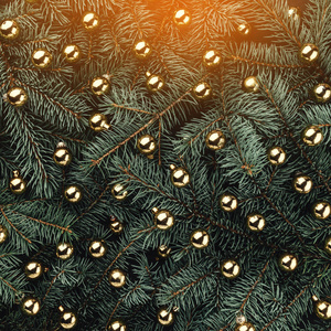 杉木分枝的冬季背景。配以金色的小球。圣诞卡。顶部视图。圣诞祝贺。具有光效的祝贺卡