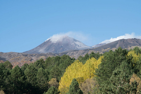 在秋天的季节, 在西西里的埃特纳火山上的五颜六色的森林和熔岩流