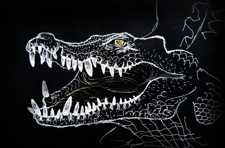 用开放的枪口的鳄鱼图片