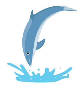 海豚平板彩色图标