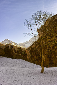 瑞士高山景观与门和少女峰在地平线上
