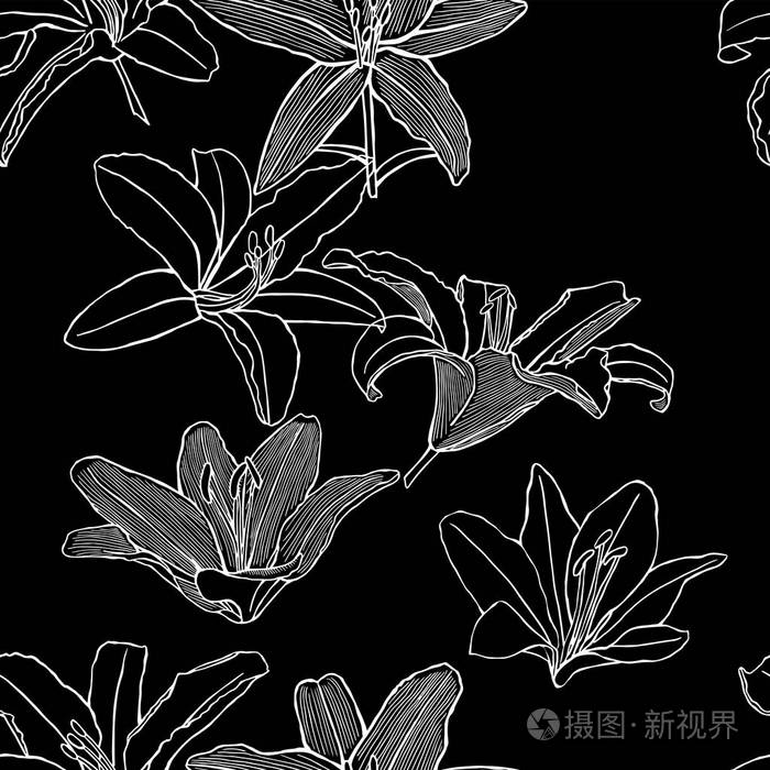 花卉无缝背景图案与手画不同的百合花.矢量黑白插图.轮廓图