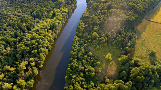 田野森林河流的鸟图, 美丽的自然景观