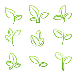 叶辛博尔，集绿色的叶片设计元素