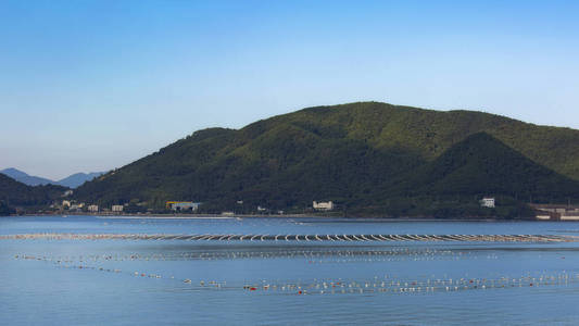 大韩民国水产养殖农场图片