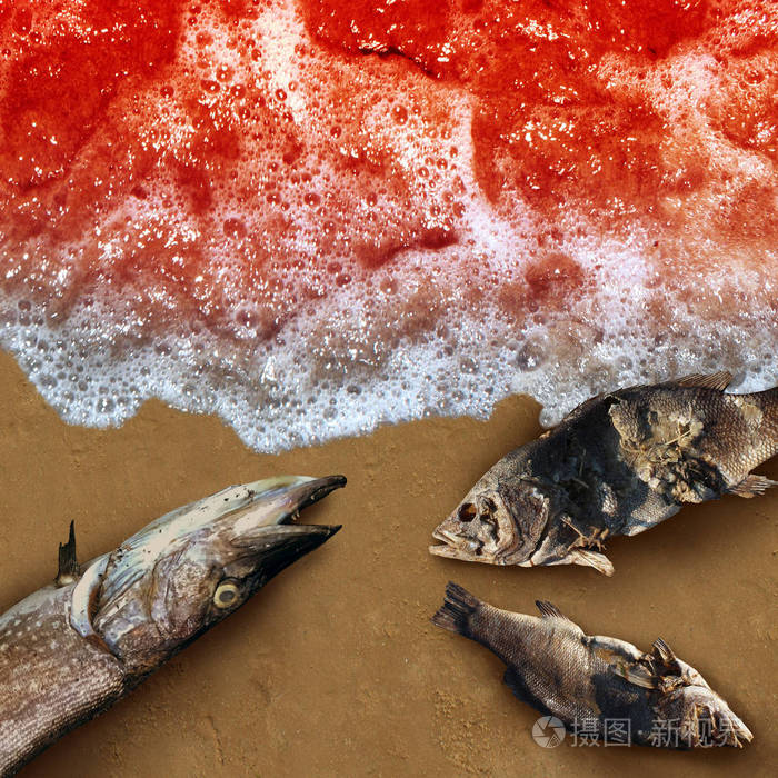 赤潮藻类致命的天然毒素在海洋或海洋中发现作为海洋生物死亡概念作为