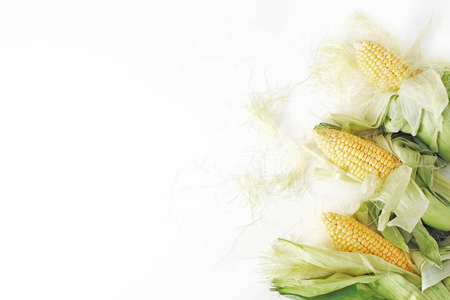 黄色玉米棒子新鲜的黄色甜玉米棒子在白色桌背景.