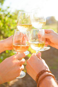 在花园野餐时手里拿着白葡萄酒敬酒。朋友幸福享受晚餐吃的概念