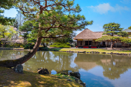 日本福岛 Aizuwakamatsu 市 Oyakuen 药用植物园