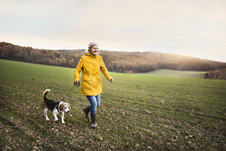 在秋天自然散步的资深妇女与狗