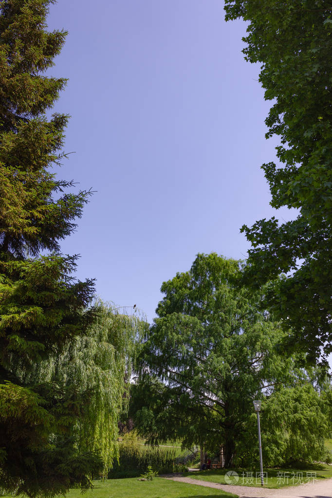 德国南部城市公园的绿色春季树木历史景观