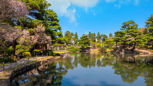 日本福岛 Aizuwakamatsu 市 Oyakuen 药用植物园