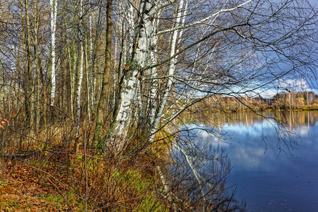 秋天的风景阳光明媚的温暖的一天在森林的河流