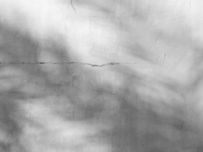 在混凝土墙上的影子叶黑色和白色抽象背景 textuer