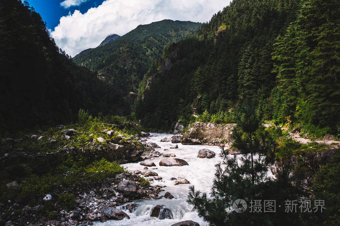 山河流经喜马拉雅山麓的森林山谷.