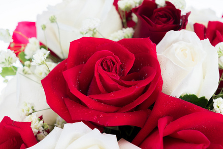红色和白色的玫瑰花安排在一起