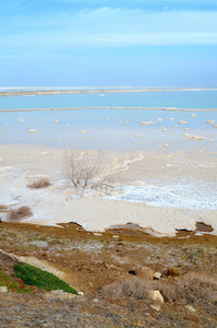 死海的海岸线