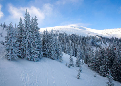 雪森林在冬天山滑雪胜地风景