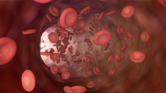 3d 红细胞白细胞和血小板血流图