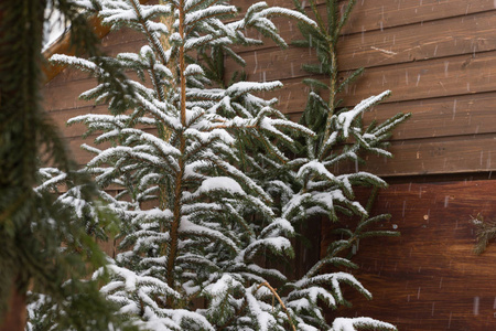 圣诞节市场的降雪即将到来的一个历史城市的南德国附近的城市和斯图加特