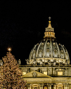 意大利罗马圣彼得广场著名圣彼得大教堂夜景外立面