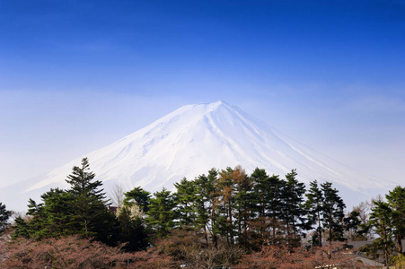 日本河口富士山