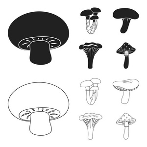 香菇, 亲爱的, 伞, 菇, 鸡油菌。以黑色设置集合图标, 轮廓样式矢量符号股票插图 web