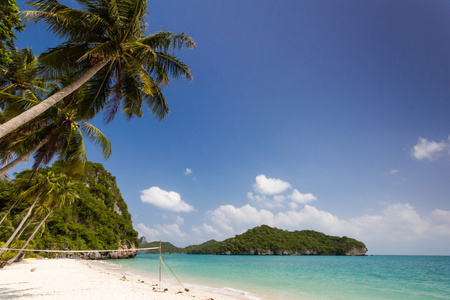 椰树海滩上图片