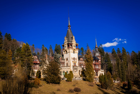 派勒斯城堡罗马尼亚喀尔巴阡山区