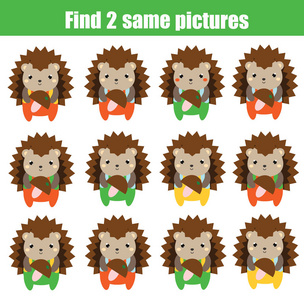 找到两个相同的刺猬照片