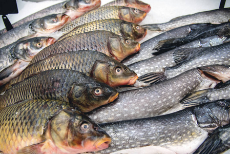 新鲜的生鱼片在超级市场出售, 品种繁多。