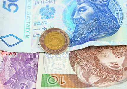 波兰兹罗提 Pln 货币纸币与硬币