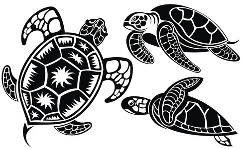海龟矢量插画