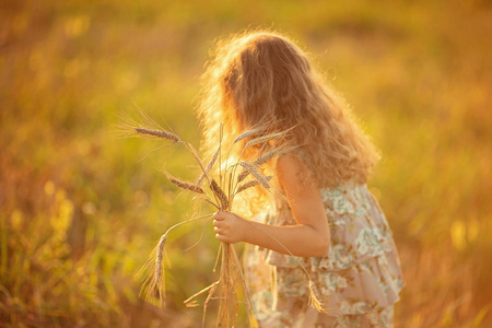 在户外的阳光下的花朵的画像