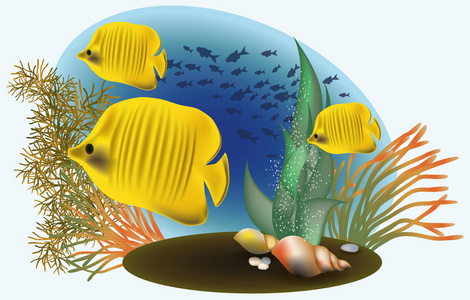 海洋生物有黄色的鱼，矢量插图