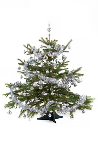 装饰的圣诞树用银球
