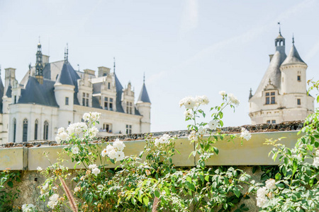 阳光明媚的日子里, 卢瓦尔河谷的法国切农索城堡的外部景观
