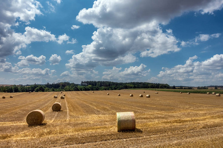 蓝色天空下的稻草包在捷克共和国, 欧洲的夏季乡村