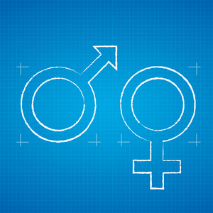 男性女性象征的蓝图