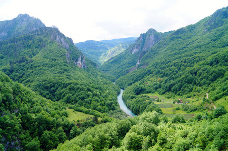 塔拉河峡谷