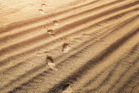 人的鞋子痕迹在湿的金黄沙子表面在海或海洋附近。日出或 snset 灯。明亮的夏天背景