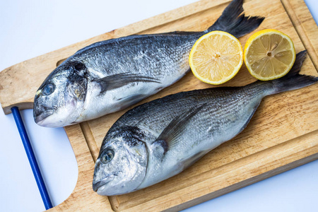 在白色背景上的木砧板上的新鲜原始海鲷鱼 (鲷头) 或 orata 的夫妇